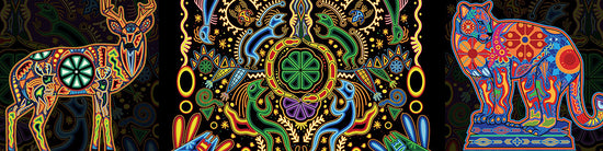 Wixaritari Huicholes Banner Mobile